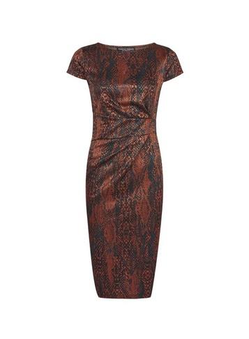 Dorothy Perkins *multi Colour Snake Print Pencil Dress