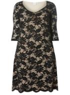 Dorothy Perkins *juna Rose Curve Black Lace Dress