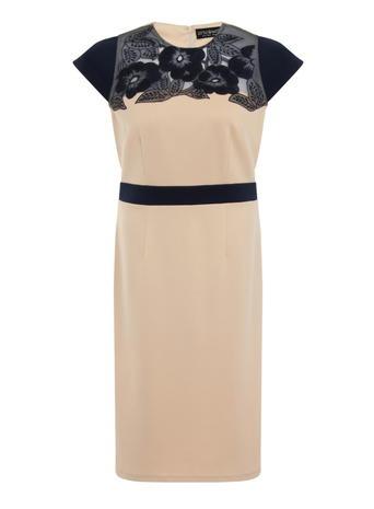 Dorothy Perkins *little Mistress Curve Navy Embroidered Bodycon Dress