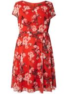 Dorothy Perkins *billie & Blossom Curve Red Floral Print Dress