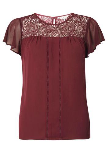 Dorothy Perkins *billie & Blossom Mulberry Lace Insert Top