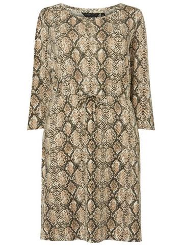 Dorothy Perkins *dp Curve Multi Colour Snake Print Drawstring Shift Dress