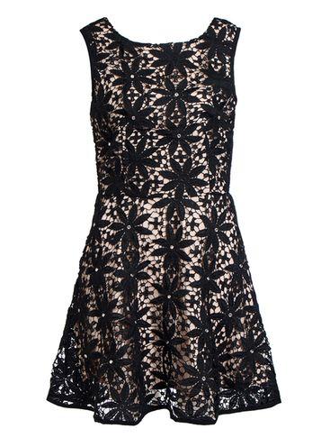 Dorothy Perkins *quiz Crochet Pearl Skater Dress