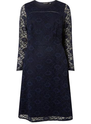 Dorothy Perkins *dp Curve Navy Lace Long Sleeve Fit And Flare Dress