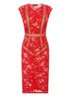Dorothy Perkins *little Mistress Red Lace Midi Dress