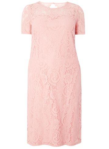 Dorothy Perkins Dp Curve Pink Lace Shift Dress