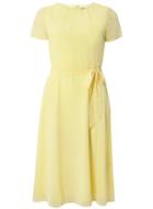 Dorothy Perkins Yellow Chiffon Fit And Flare Dress