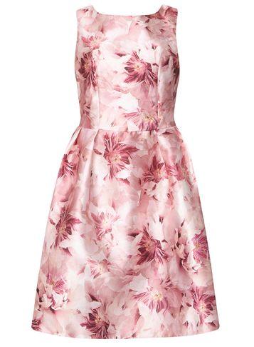 Dorothy Perkins *luxe Pink Blurred Floral Dress