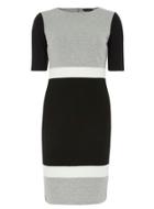 Dorothy Perkins Grey Colourblock Tube Dress