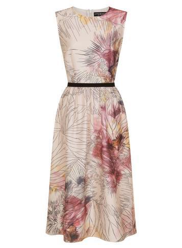 Dorothy Perkins *little Mistress Floral Midi Skater Dress
