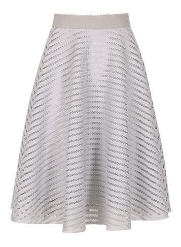 Dorothy Perkins *izabel London Grey Skater Skirt