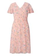 Dorothy Perkins Blush Floral Fit And Flare Dress