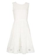 Dorothy Perkins *voulez Vous White Fit & Flare Dress