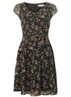 Dorothy Perkins *billie & Blossom Black Ditsy Chiffon Skater Dress