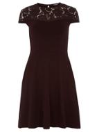 Dorothy Perkins *tall Raisin Lace Yoke Dress