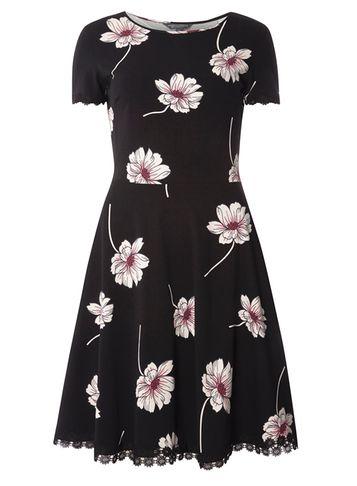 Dorothy Perkins *tall Black Floral Daisy Trim Dress