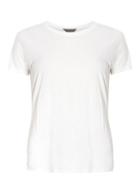 Dorothy Perkins Petites White Ovoid T-shirt