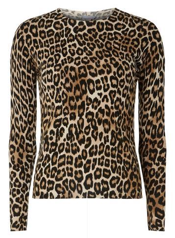 Dorothy Perkins Petite Leopard Print Jumper