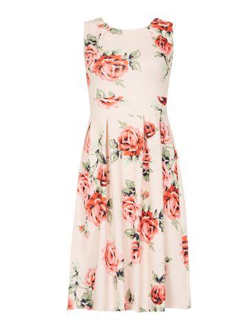 Dorothy Perkins *feverfish Pink Rose Flared Skater Dress