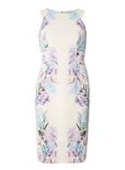 Dorothy Perkins Ivory Placement Print Shift Dress