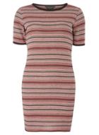 Dorothy Perkins Grey And Pink Stripe Tunic