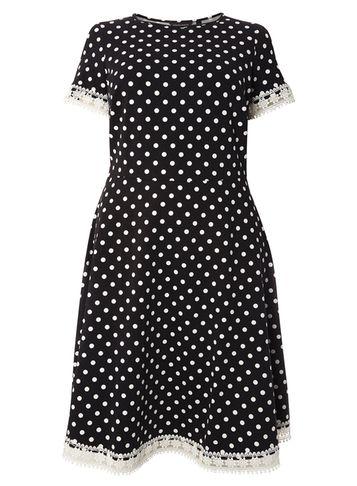 Dorothy Perkins Dp Curve Daisy Spotted Lace Trim Dress