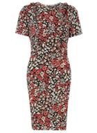 Dorothy Perkins *tall Pink Floral Fit And Flare Dress