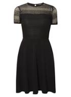 Dorothy Perkins Black Lace Dress