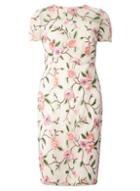 Dorothy Perkins Ivory And Pink Embroider Pencil Dress