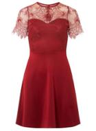 Dorothy Perkins Wine Red Eyelash Lace Skater Dress