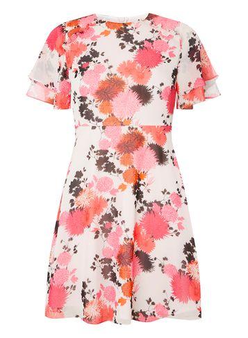 Dorothy Perkins Petite Red And Pink Floral Tea Dress