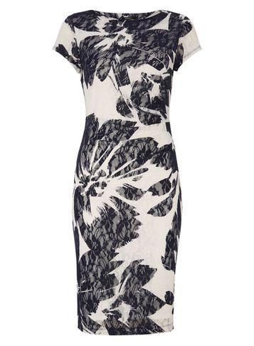 Dorothy Perkins *roman Originals Navy Floral Print Lace Bodycon Dress