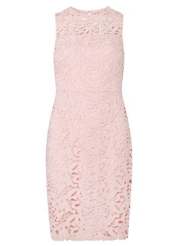 Dorothy Perkins Petite Pink Lace Pencil Dress