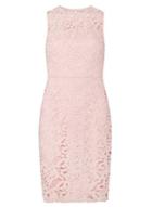 Dorothy Perkins Petite Pink Lace Pencil Dress