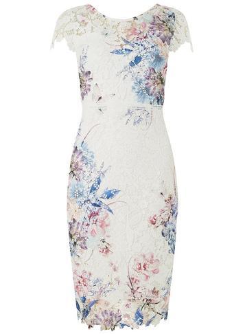 Dorothy Perkins *scarlett B White Printed Bodycon Dress