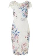 Dorothy Perkins *scarlett B White Printed Bodycon Dress