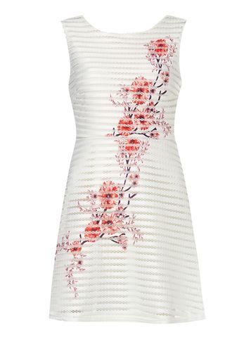 Dorothy Perkins *izabel London Multi White Dress