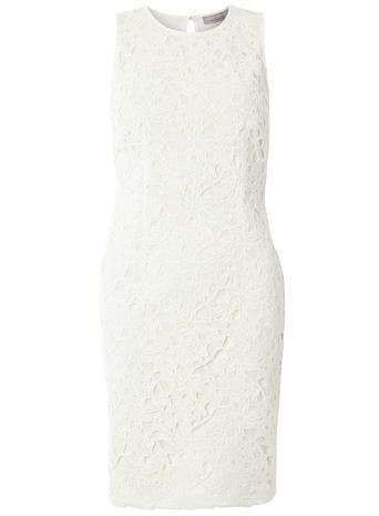 Dorothy Perkins Petite Ivory Lace Pencil Dress