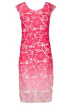 Dorothy Perkins *quiz Pink Crochet Ombre Shift Dress