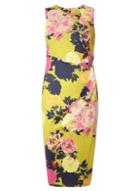 Dorothy Perkins *tall Lime Floral Pencil Dress