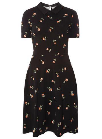 Dorothy Perkins *tall Black Floral Collar Dress