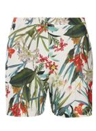 Dorothy Perkins Tropical Print Shorts