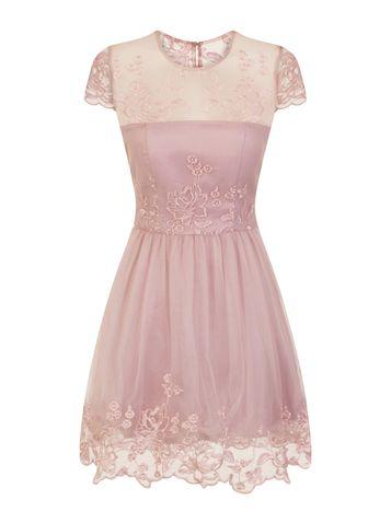 Dorothy Perkins *chi Chi London Petite Mink Embroidered Skater Dress
