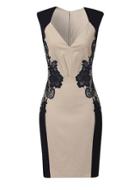 Dorothy Perkins Little Mistress Cream And Navy Lace Dress