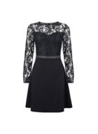 Dorothy Perkins *black Embellished Trim Lace Skater Dress
