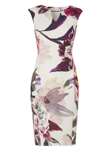 Dorothy Perkins *roman Originals Magenta Floral Scuba Dress