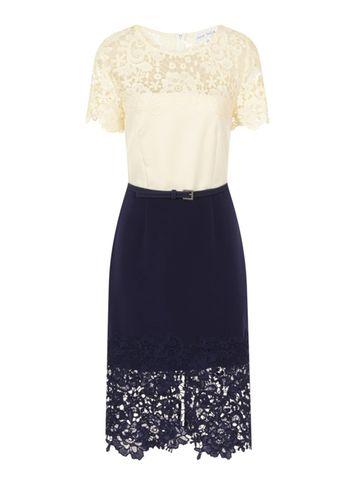 Dorothy Perkins *paper Dolls Lace Dress