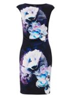 Dorothy Perkins *roman Originals Purple Floral Print Jersey Bodycon Dress