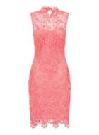 Dorothy Perkins *paper Dolls Coral Crochet Lace Bodycon Dress