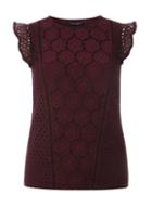 Dorothy Perkins Wine Lace Ruffle Sleeve Top